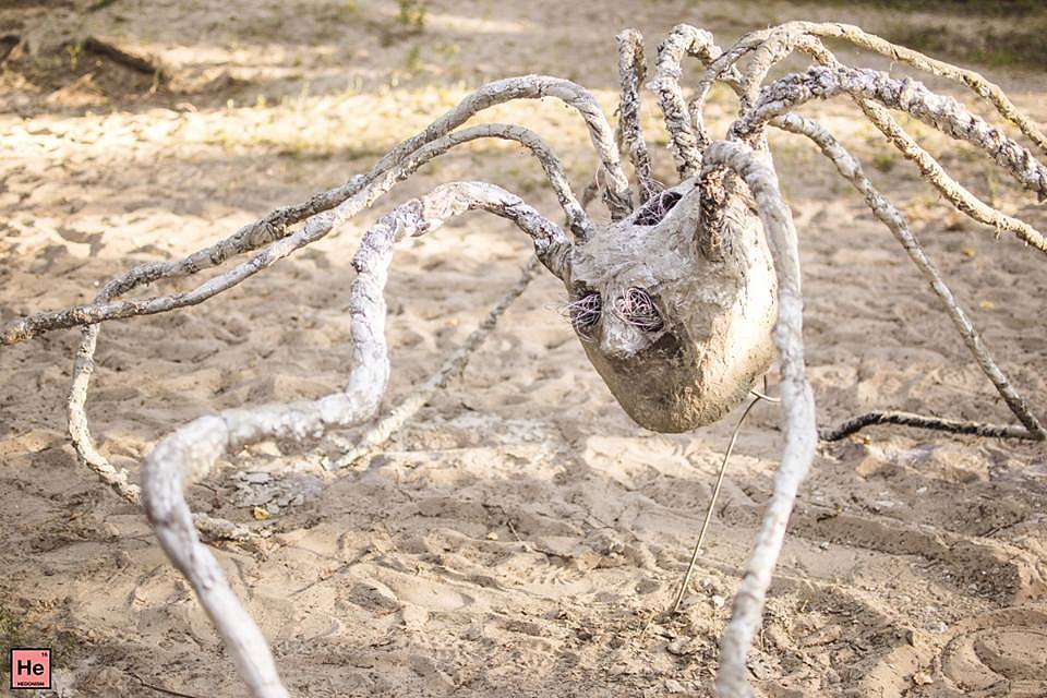 Secret Sand Spider